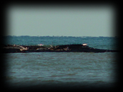 753 Panama Wreck above water